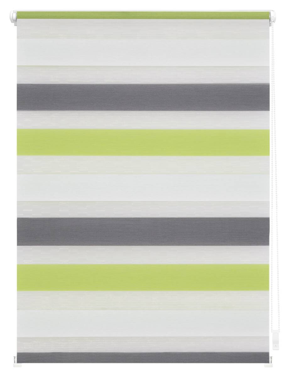 LICHTBLICK Doppelrollo Duo grün B/L: ca. 70x150 cm