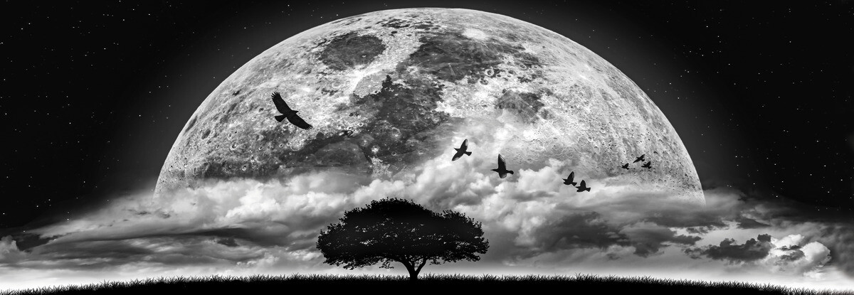 The Wall Wandbild Mondschein B/L: ca. 53x155 cm