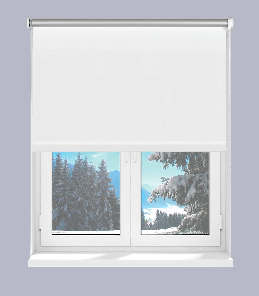 Boviva Thermo Seitenzugrollo Verdunklungsqualität weiß B/L: ca. 62x175 cm