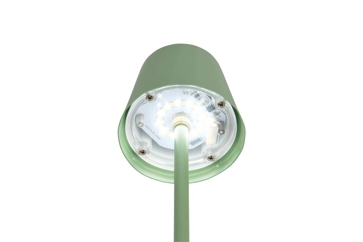 Reality LED Tischleuchte DIAZ Pistazie Metall H: ca. 21 cm 1 Brennstellen