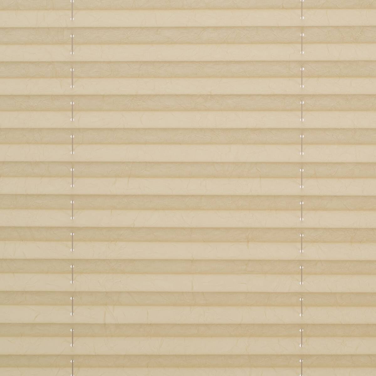 LICHTBLICK Spannplissee creme B/L: ca. 80x210 cm