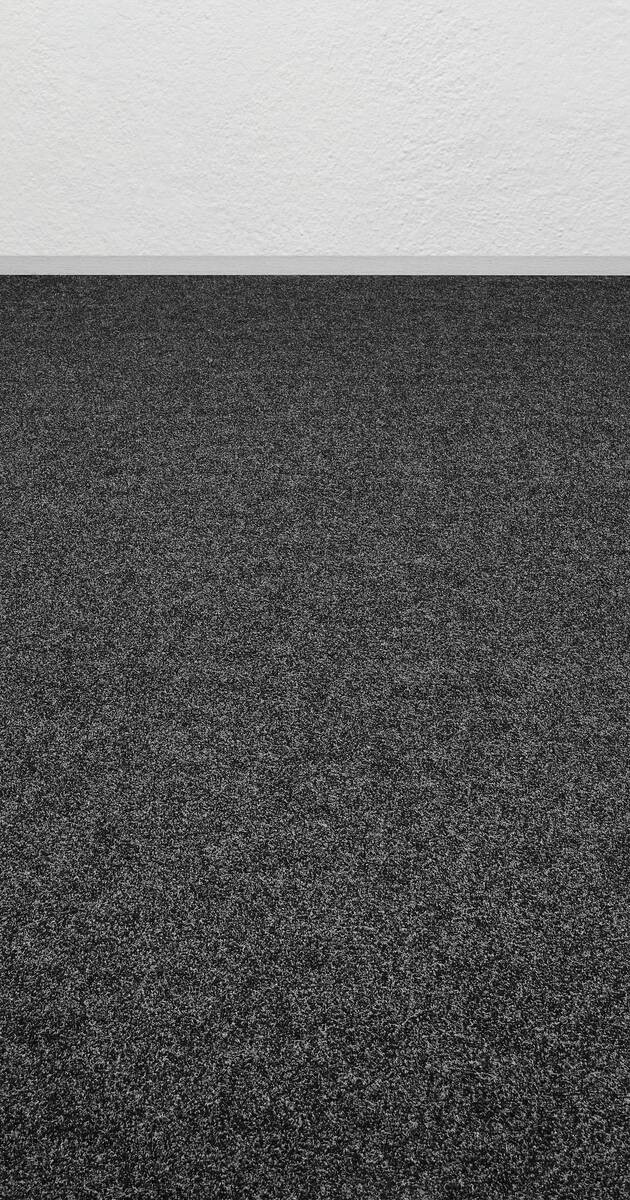 Nadelfilz Sprinter anthrazit B: ca. 400 cm