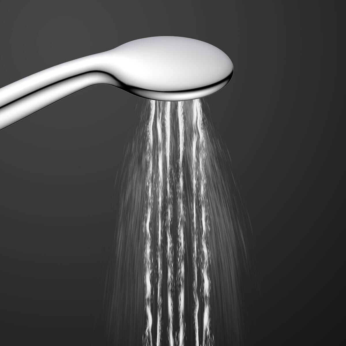 Eisl Handbrause-Set Leon Chrom