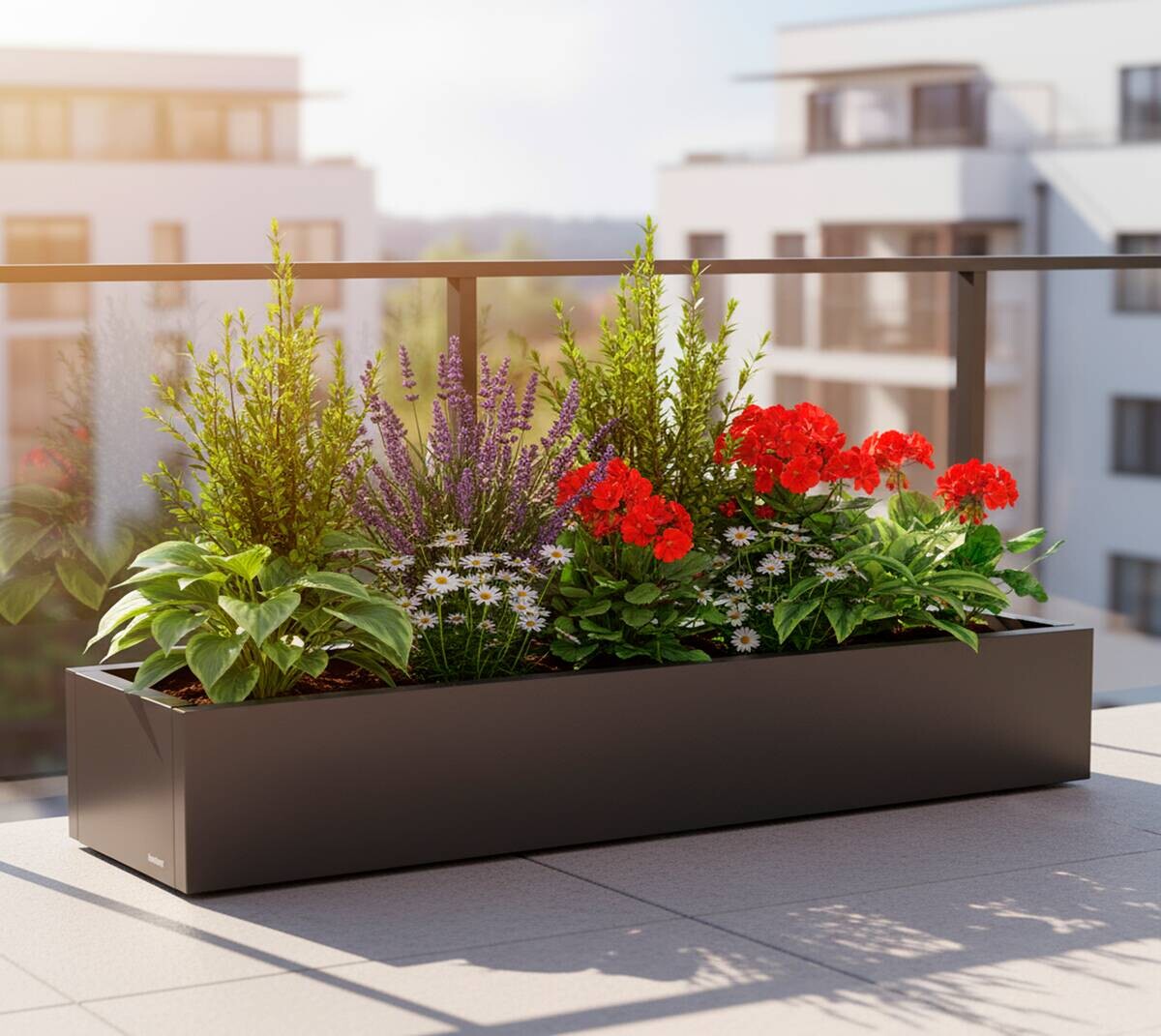 Herstera Garden Pflanzkübel Cube anthrazit Metall B/H/L: ca. 150x25x40 cm