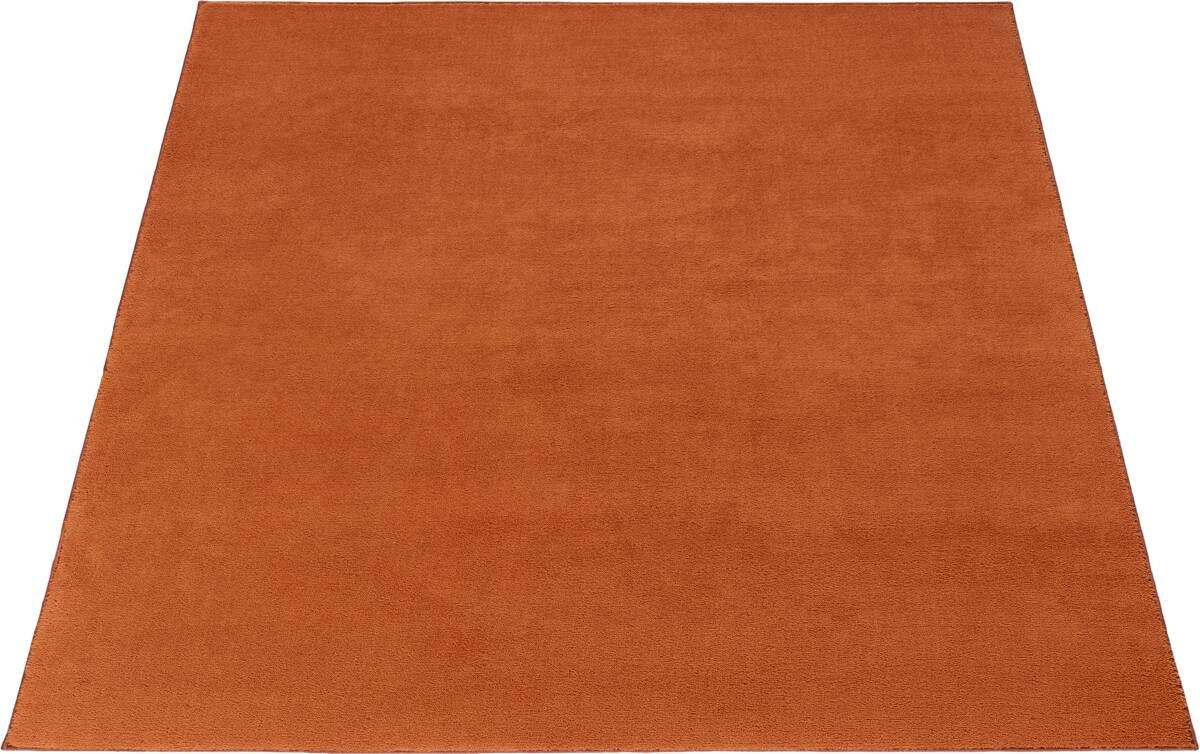Teppich Casa terra B/L: ca. 115x160 cm