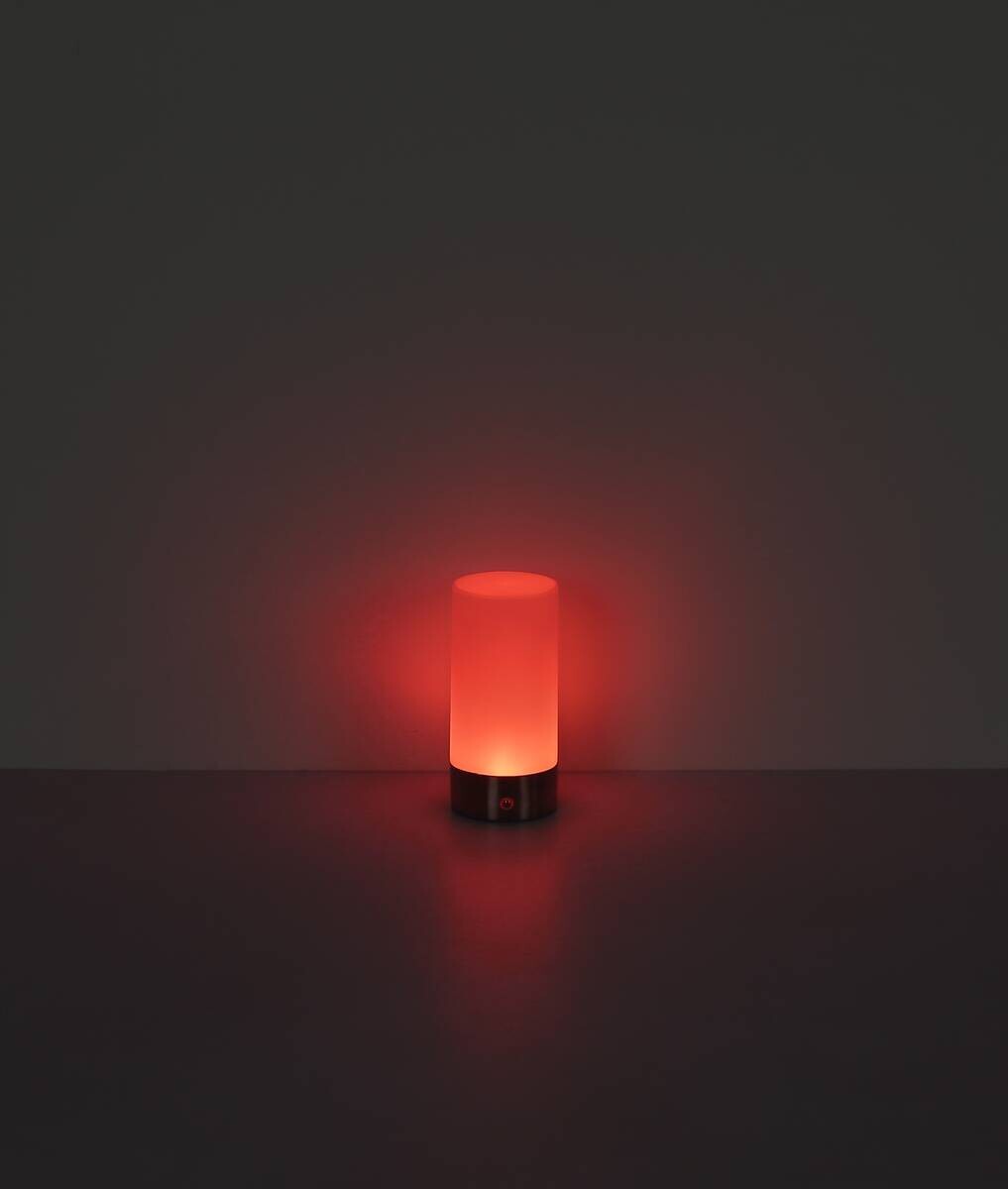 GLOBO LED-Ticshleuchte Lex nickel matt Metall H/D: ca. 19x8,8 cm