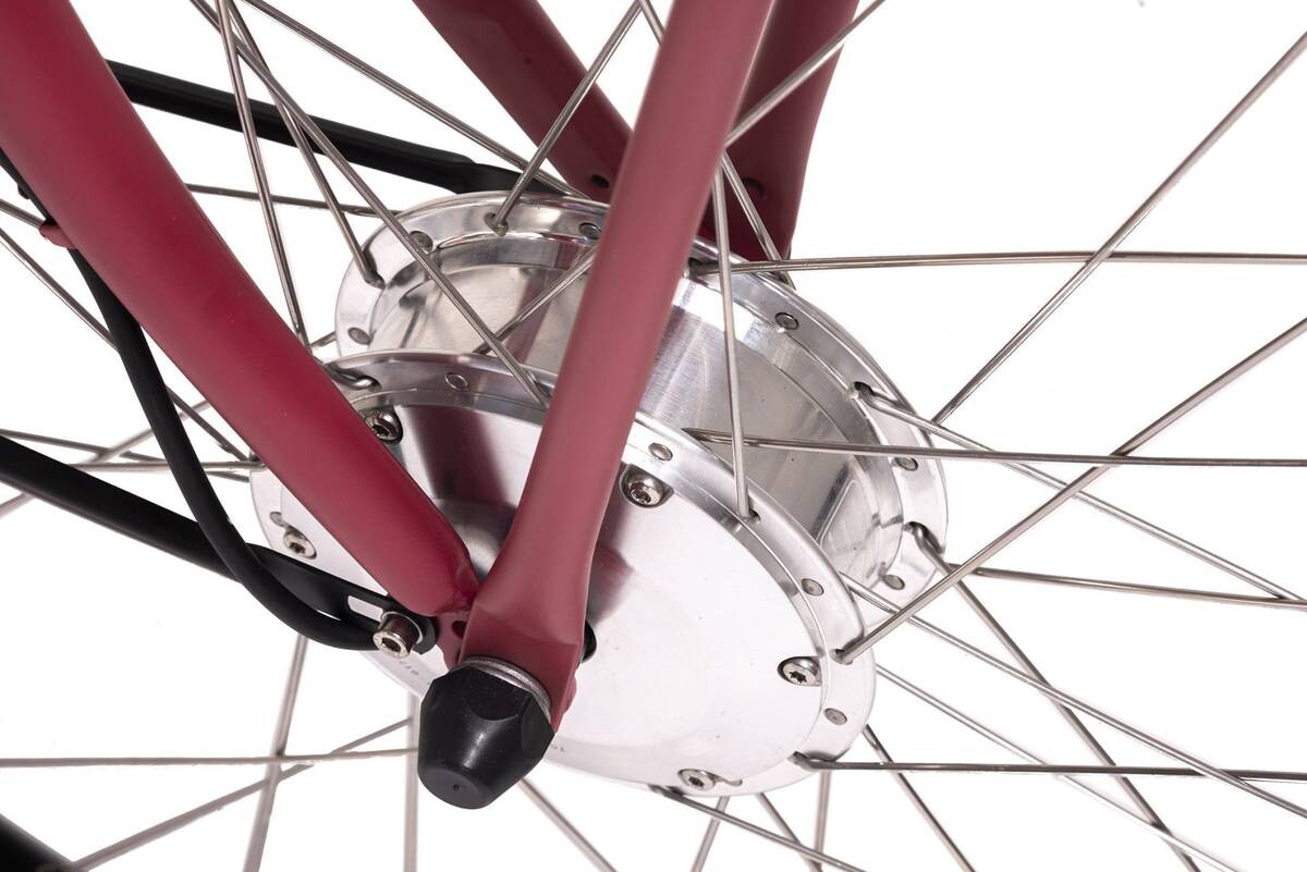 Hollandia E-Cityrad Carry on Carry on 28'' 28 Zoll Rahmenhöhe 54 cm 3 Gänge rot rot ca. 250 W ca. 36 V ca. 28 Zoll