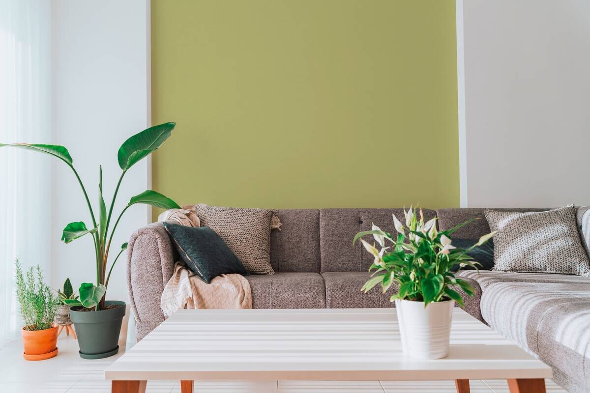 A.S.Creation Vliestapete grün B/H/D: ca. 53x1005x8,3 cm