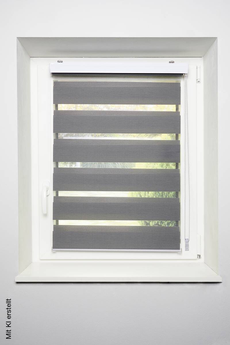Doppelrollo mit Blende grau B/L: ca. 140x160 cm