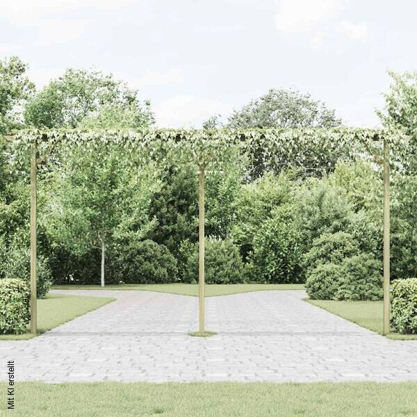 Pergola braun B/H/L: ca. 40x203x410 cm