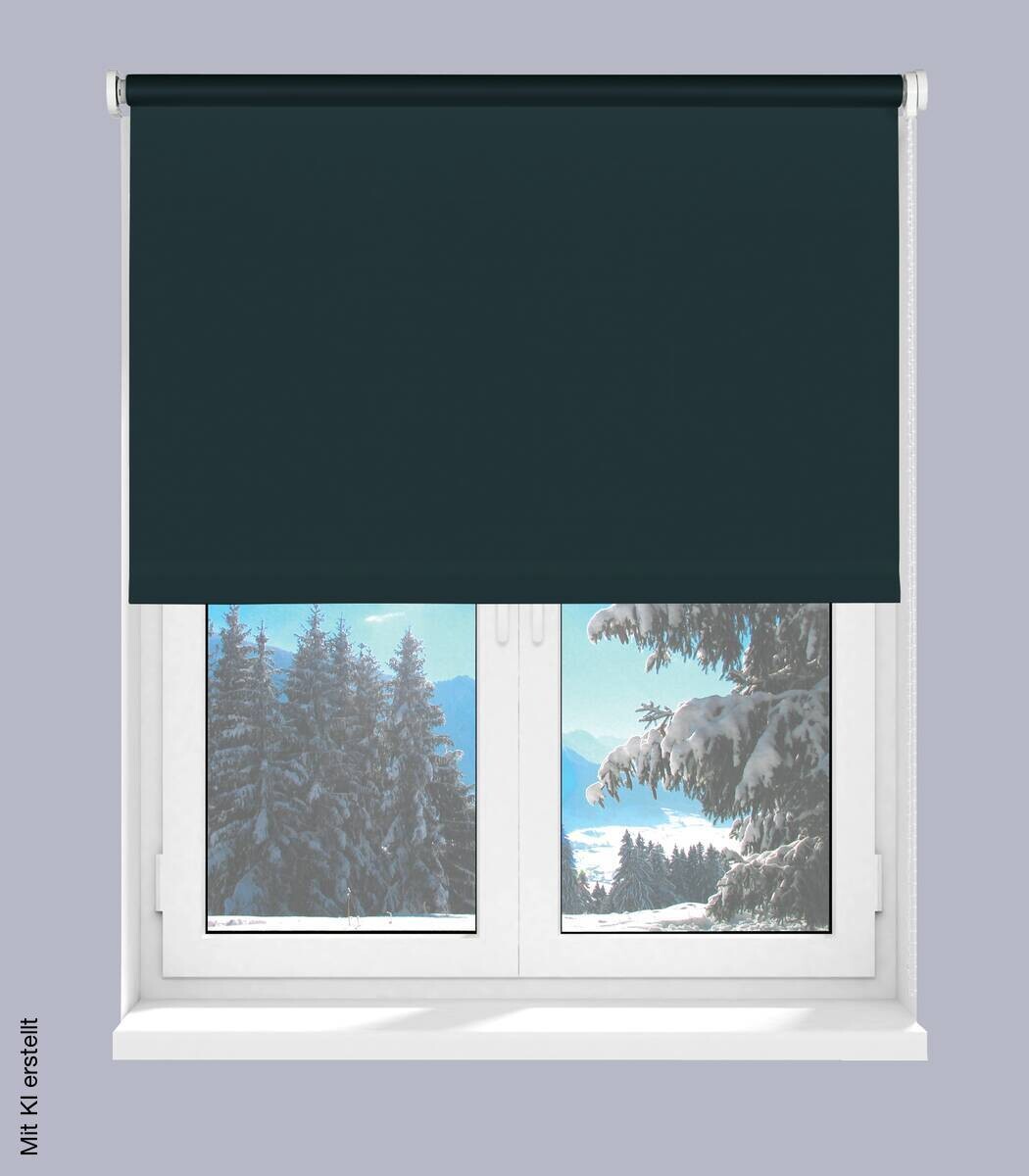 Boviva Thermo Seitenzugrollo Verdunklungsqualität anthrazit B/L: ca. 62x175 cm