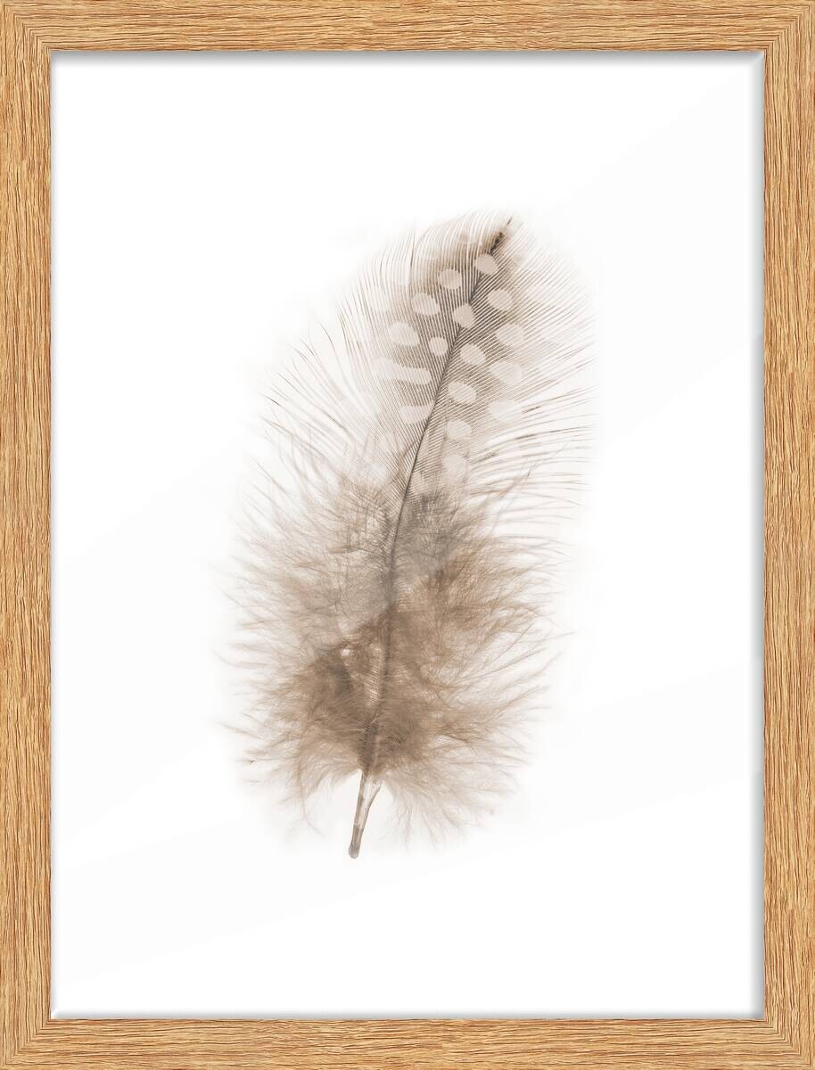 Bilderrahmen Eiche Eiche H/L: ca. 30x40 cm