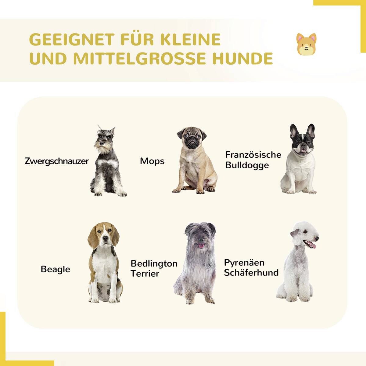PawHut Gehege grau Edelstahl B/H/L: ca. 320x320x100 cm