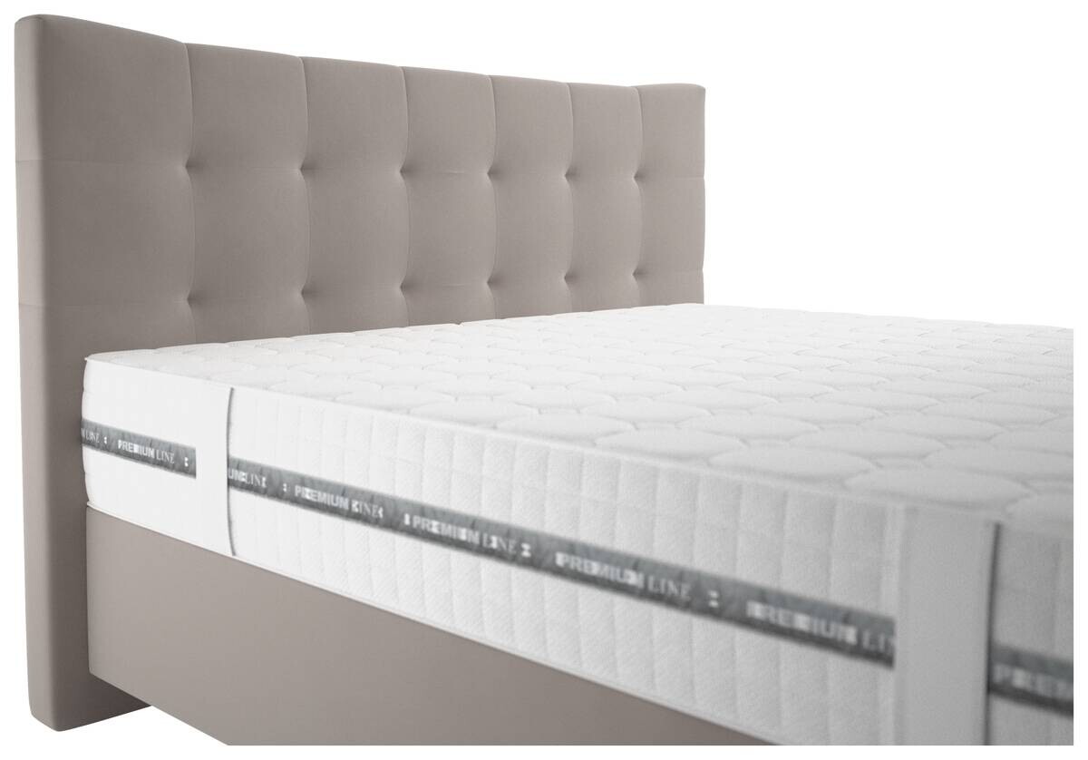 Boxspringbett Domino creme Liegefläche B/L: ca. 180x200 cm