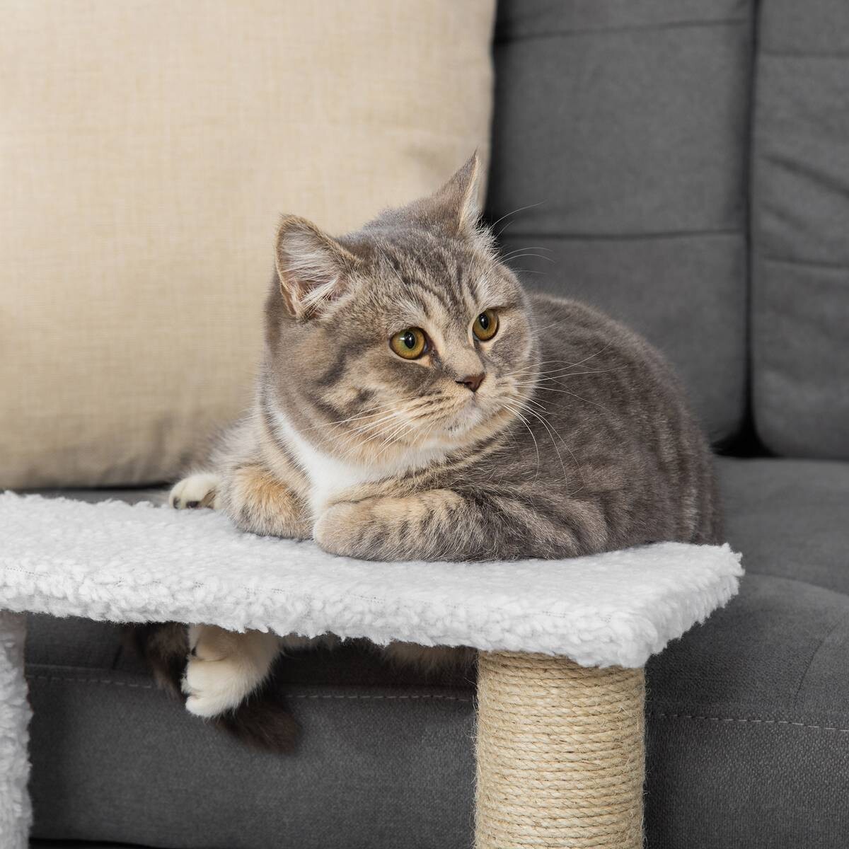 PawHut Haustiertreppe weiß Spanplatte B/H/L: ca. 40x48x45 cm