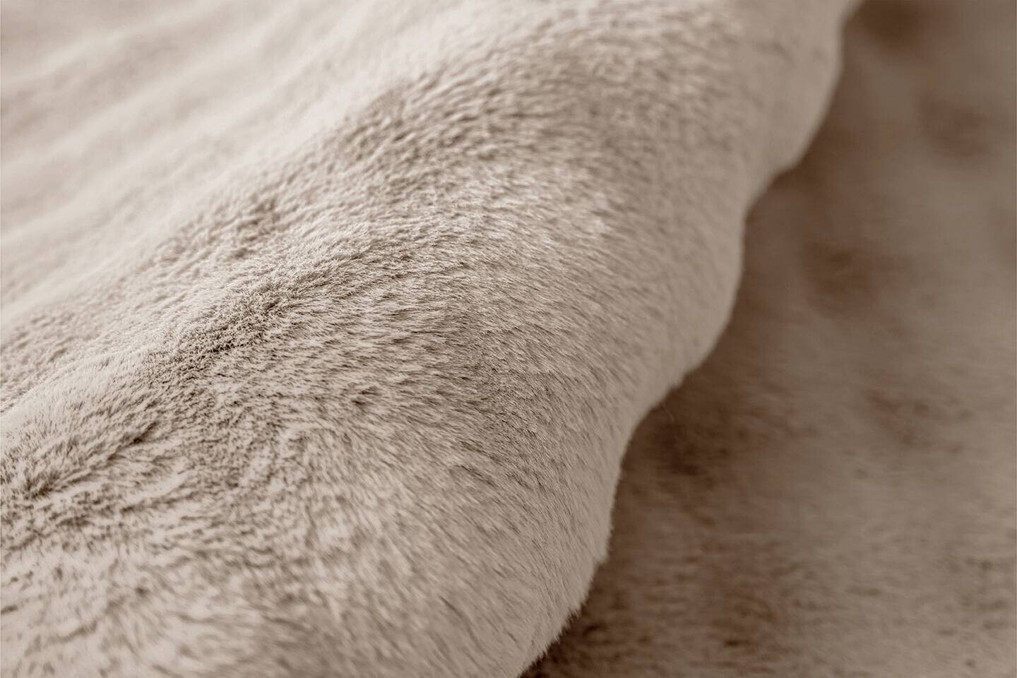 Padiro Hochflorteppich Hailey 125 beige B/H/L: ca. 120x3x160 cm