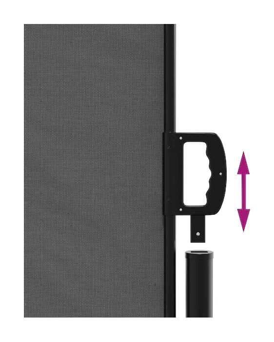vidaXL Seitenmarkise anthrazit B/T/L: ca. 160x300x300 cm