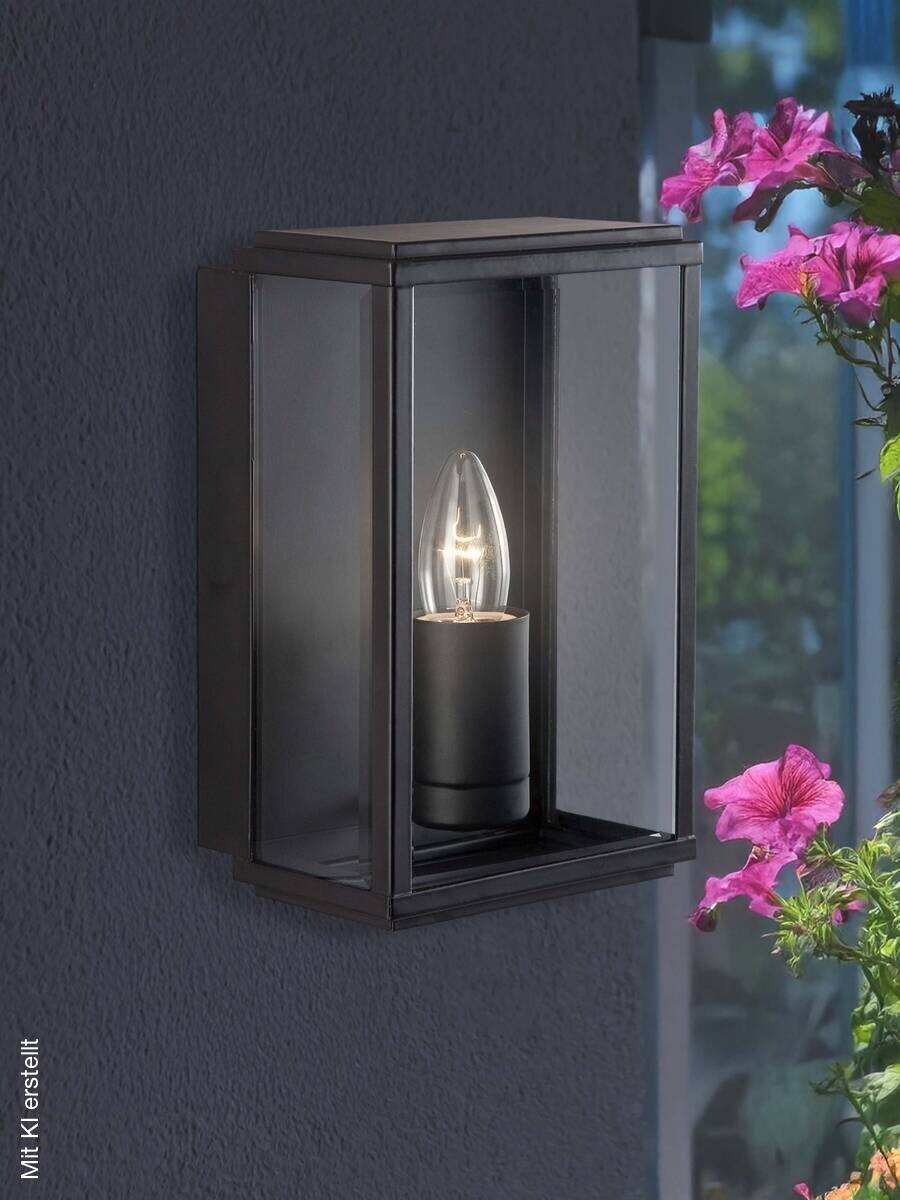 Wandaußenleuchte klar schwarz B/H/T: ca. 16x25x11 cm