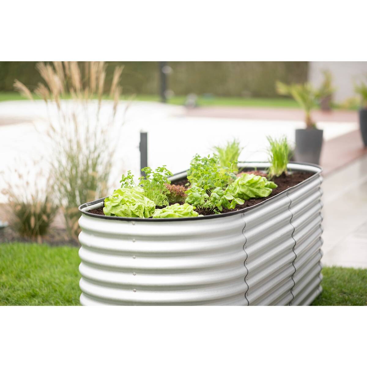 Westmann Hochbeet Oval silber Metall B/H/L: ca. 80x82x240 cm