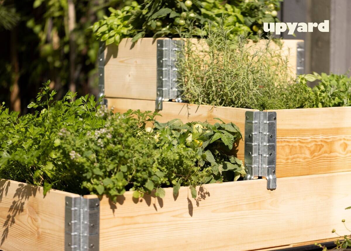 UPYARD Stufenbeet INDUSTRIAL natur Holz