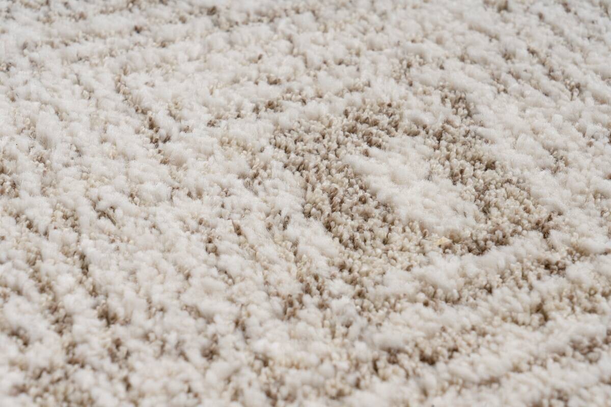 Obsession Teppich My Parma creme B/L: ca. 160x230 cm