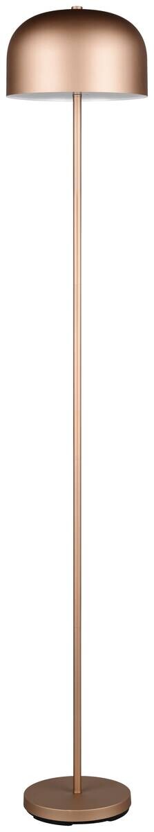Reality Stehlampe JEFF kaffee Metall H: ca. 147 cm 1 Brennstellen