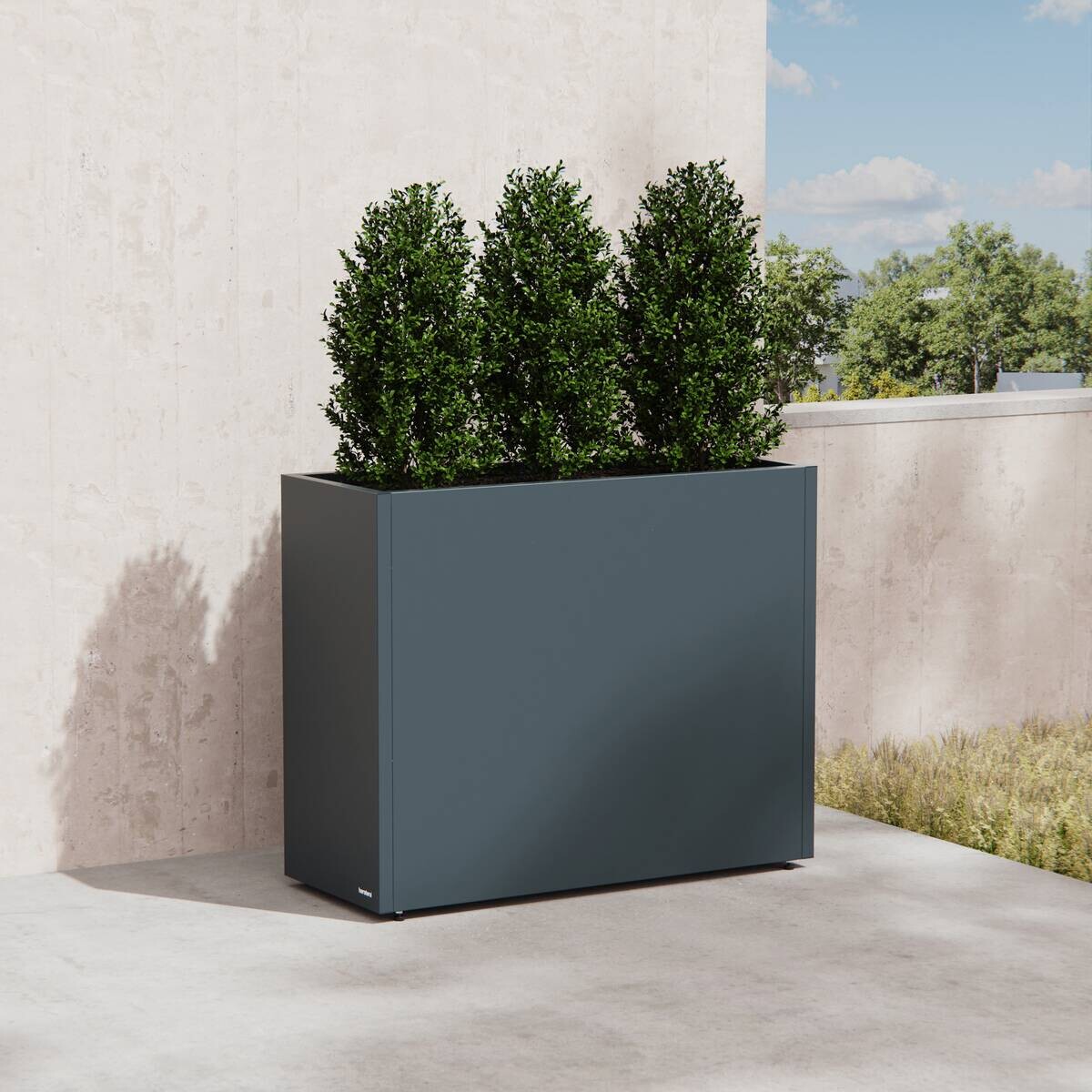 Herstera Garden Pflanzkübel Cube anthrazit Metall B/H/L: ca. 100x80x40 cm