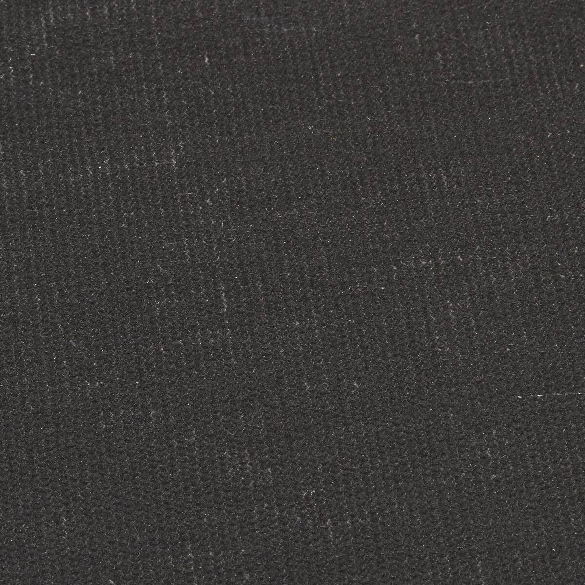 Schmutzfangmatte Emotion XS schwarz B/L: ca. 40x80 cm