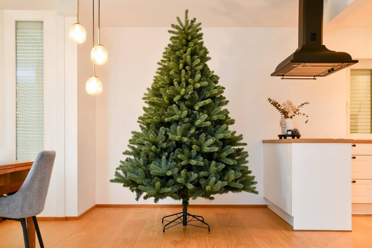 Evergreen Weihnachtsbaum Vermont Fichte