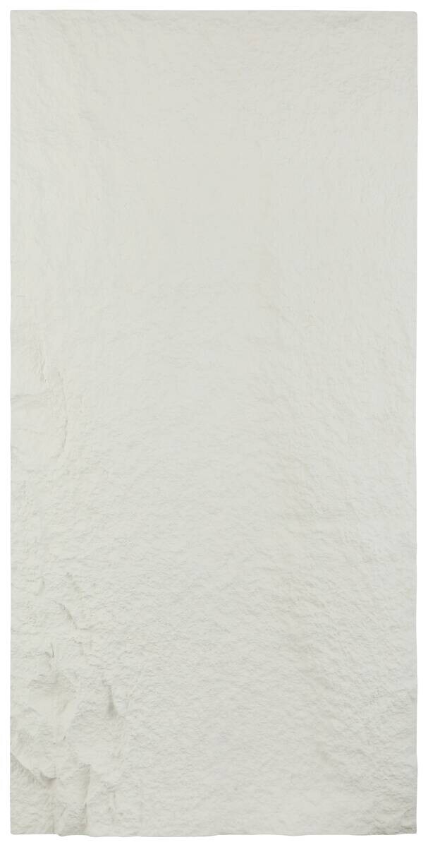 Wandpaneel PU Stone 2er-Set Hanui weiß L/B/H: ca. 120x60x3 cm pro Stück