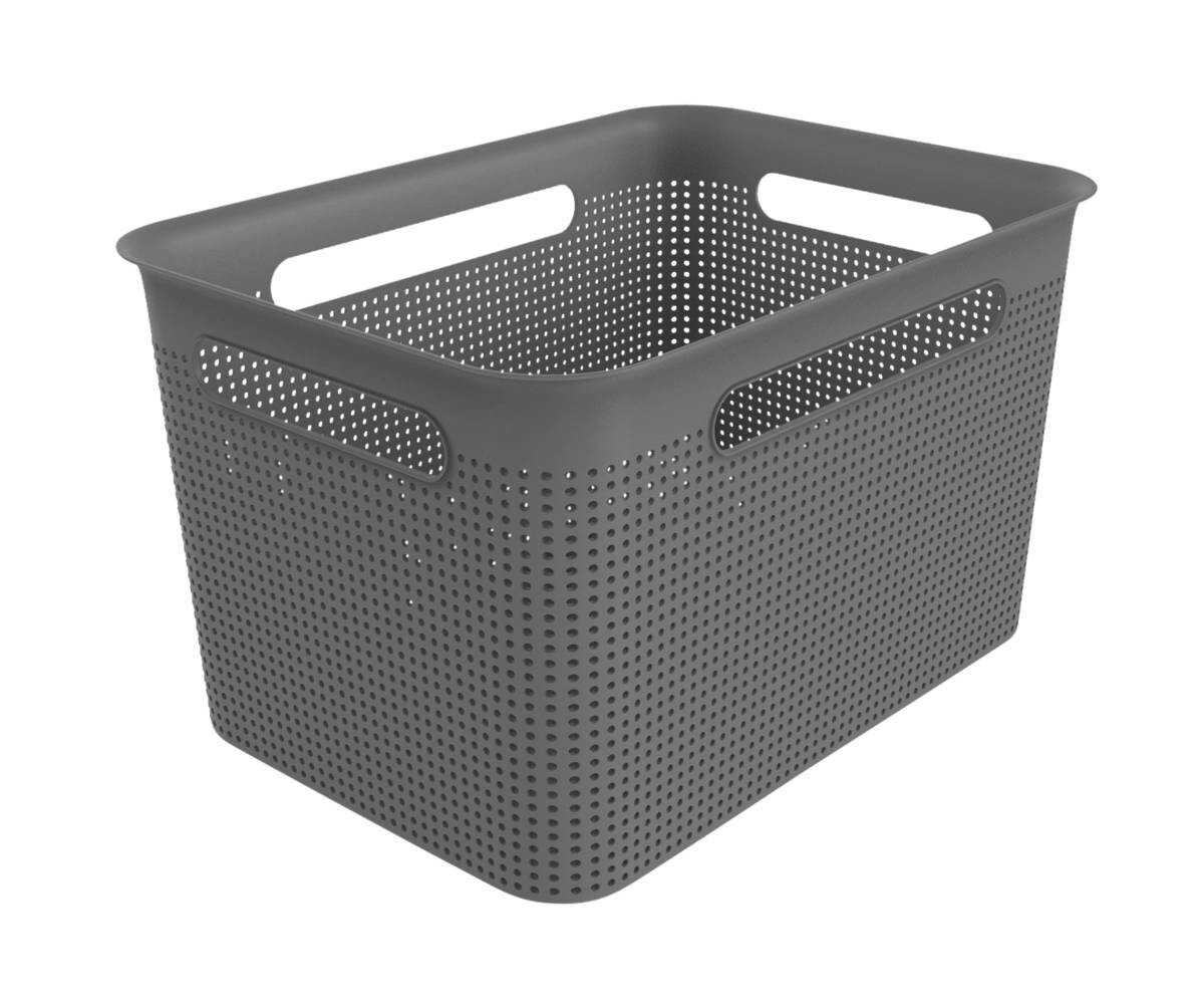 Rotho Aufbewahrungsbox anthrazit B/H/L: ca. 26x21x36 cm