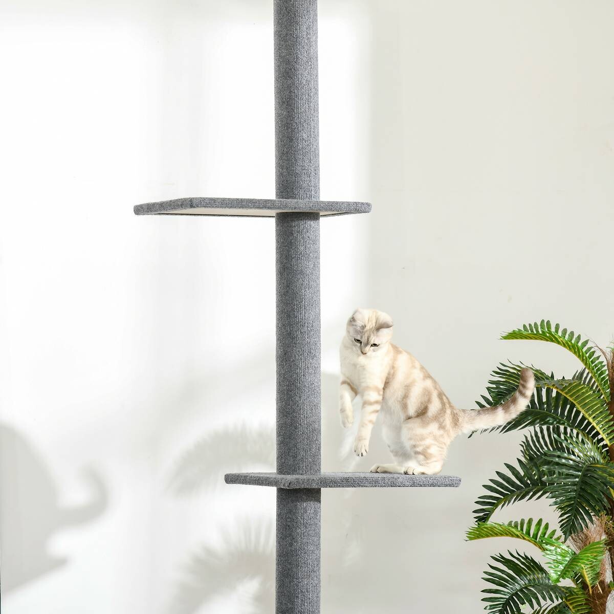 PawHut Kratzbaum grau Polyester B/H/L: ca. 27x228x43 cm