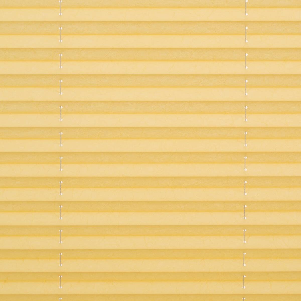 LICHTBLICK Spannplissee gelb B/L: ca. 70x210 cm