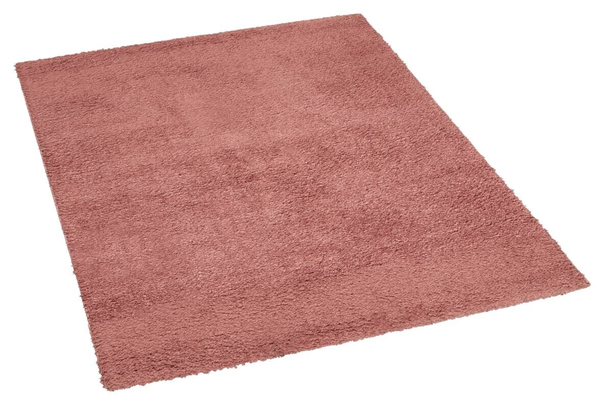 Langflorteppich Tiamo rosa B/L: ca. 120x170 cm