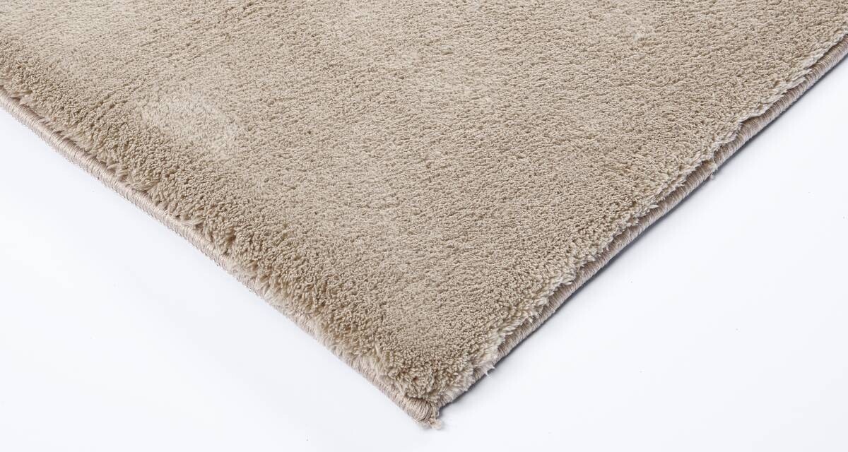 Teppich Lisa taupe B/L: ca. 80x150 cm