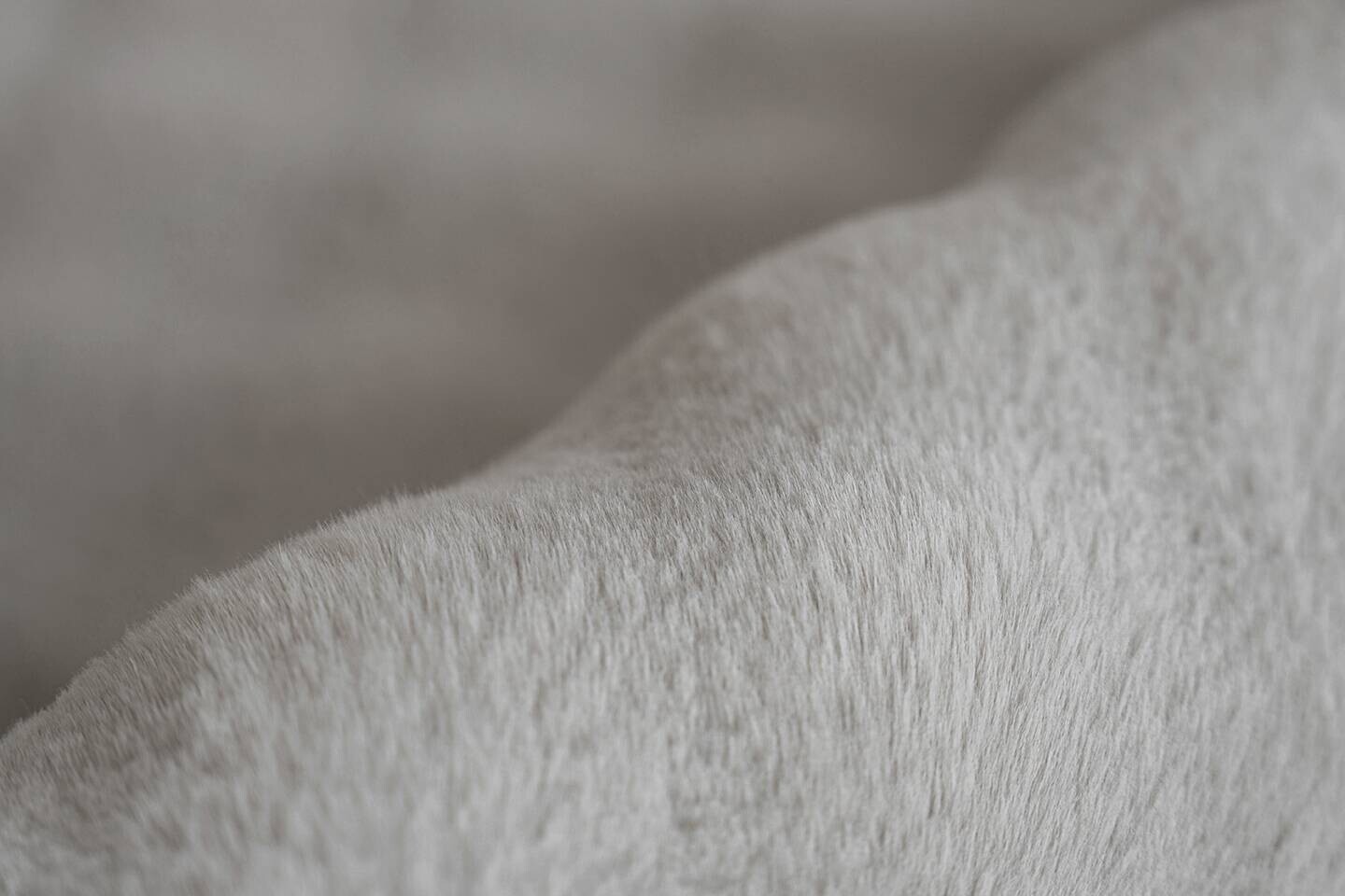 Padiro Hochflorteppich Hailey 125 grau B/H/L: ca. 120x3x160 cm