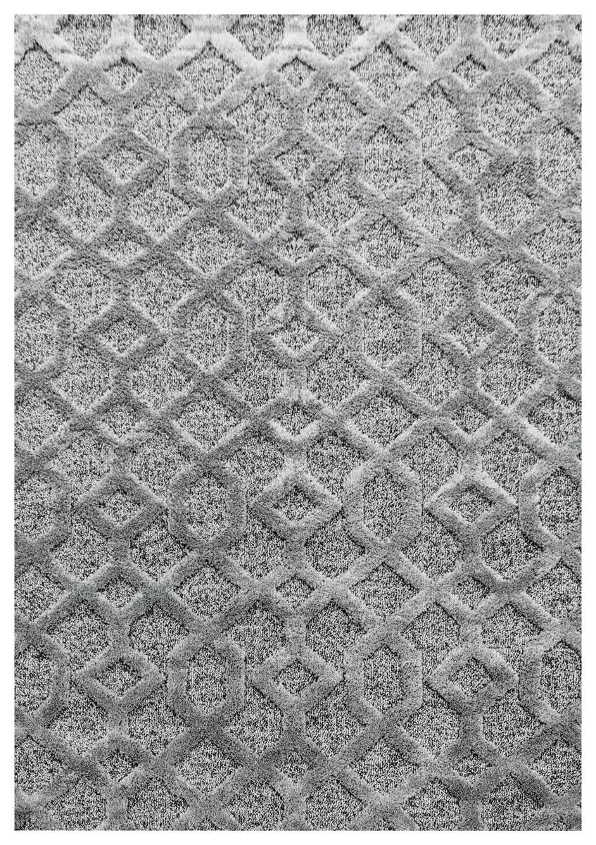 Ayyildiz Teppich PISA grau B/L: ca. 120x170 cm