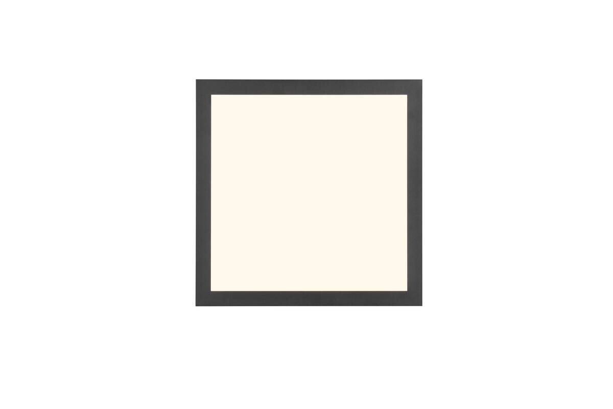 Reality LED-Deckenleuchte Beta schwarz Metall B/H/T: ca. 29,5x50x29,5 cm 1 Brennstellen