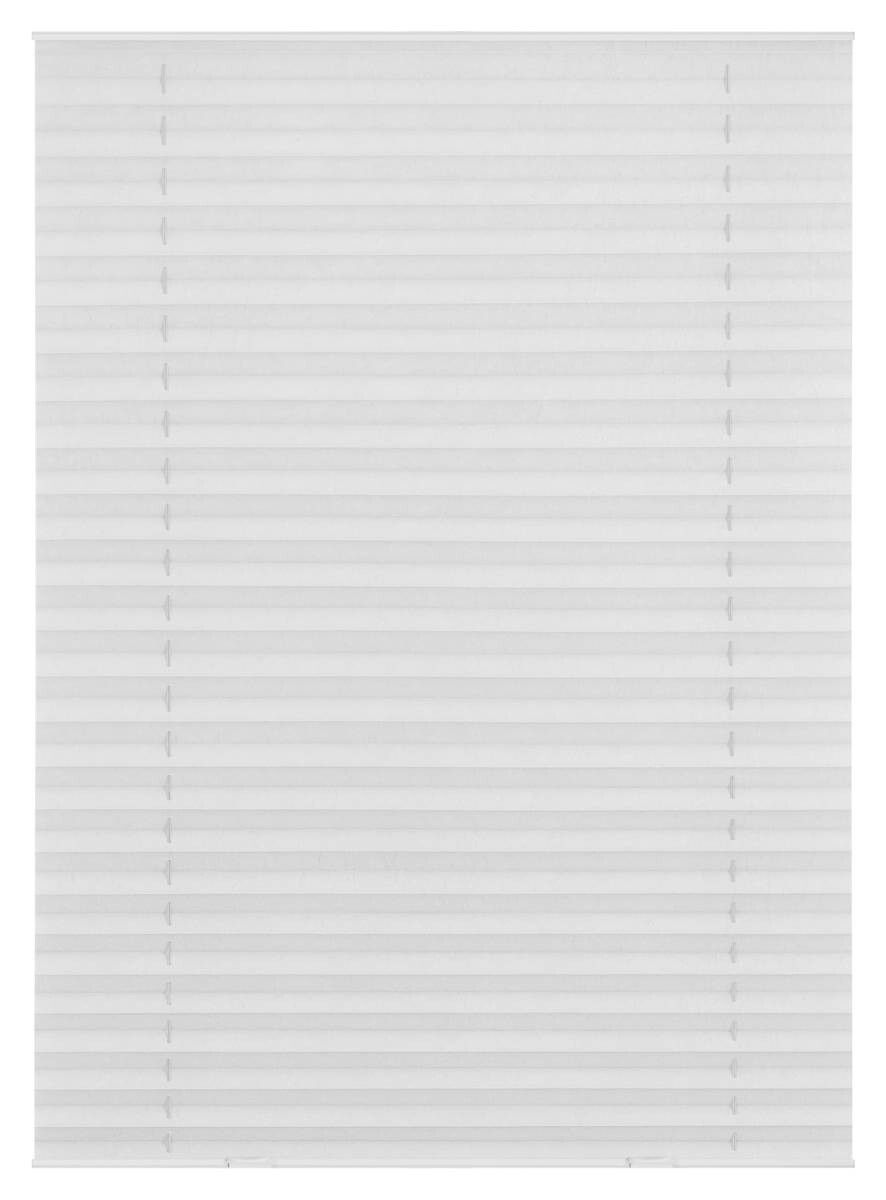 LICHTBLICK Plissee für Dachfenster weiß B/L: ca. 59,3x122 cm