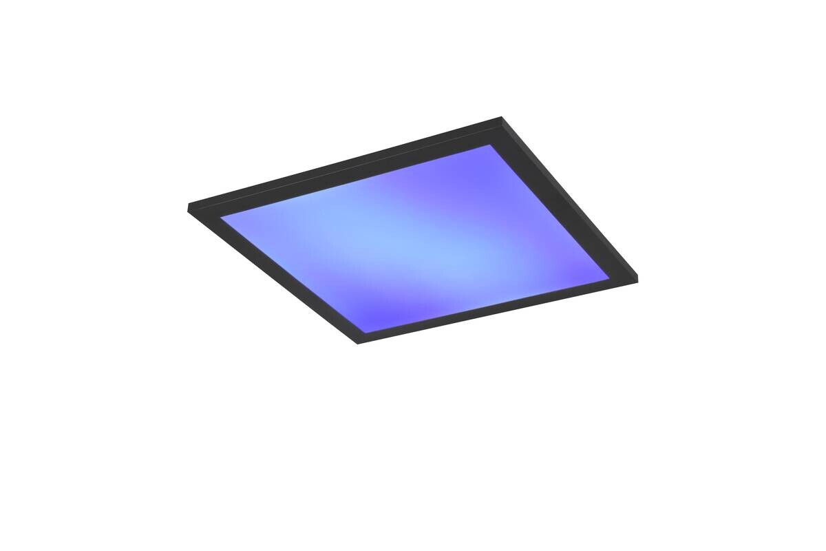 Reality LED-Deckenleuchte Beta schwarz Metall B/H/T: ca. 29,5x50x29,5 cm 1 Brennstellen