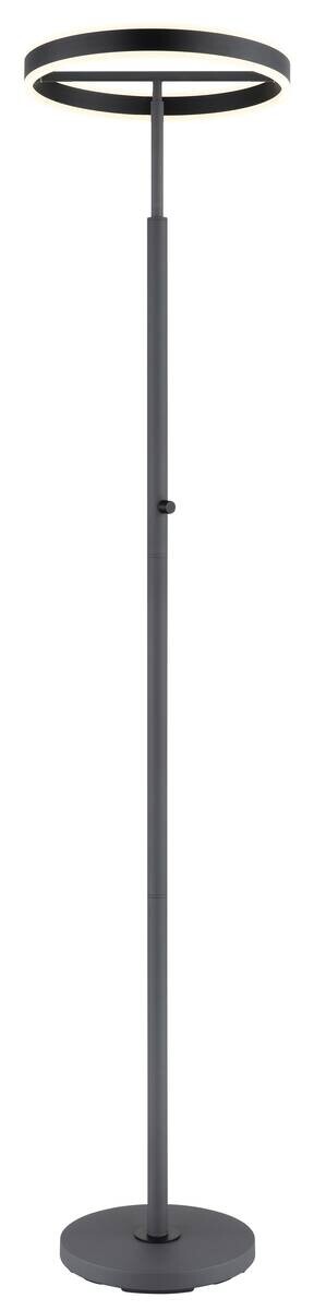 GLOBO Stehleuchte schwarz anthrazit Opal Metall Acryl Aluminium H/D: ca. 181x40 cm 1 Brennstellen
