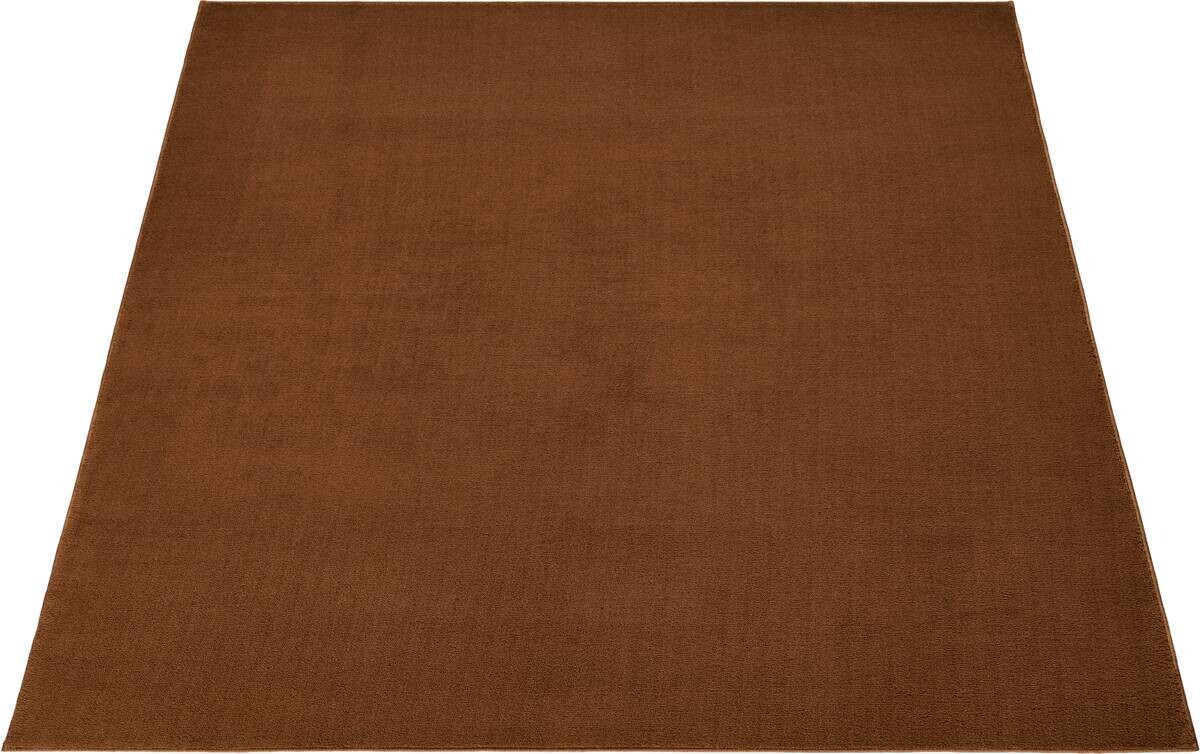 Teppich Casa braun B/L: ca. 115x160 cm