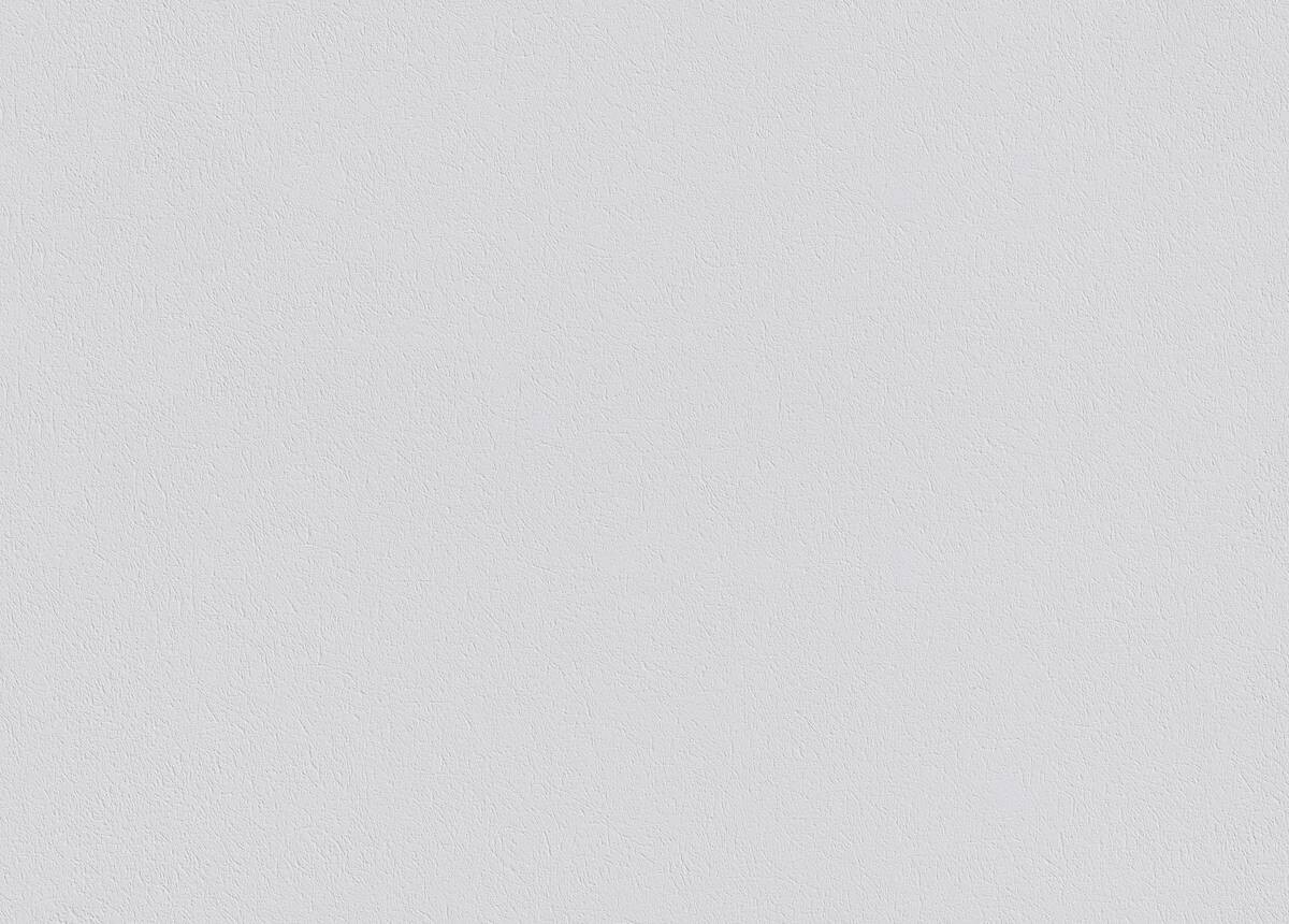 Erfurt Vliestapete Variovlies Sisal weiß B/L: ca. 75x2500 cm