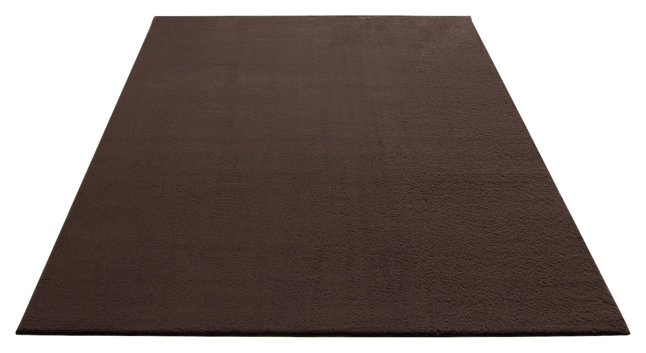 Teppich Cozy braun B/H/L: ca. 80x12x300 cm