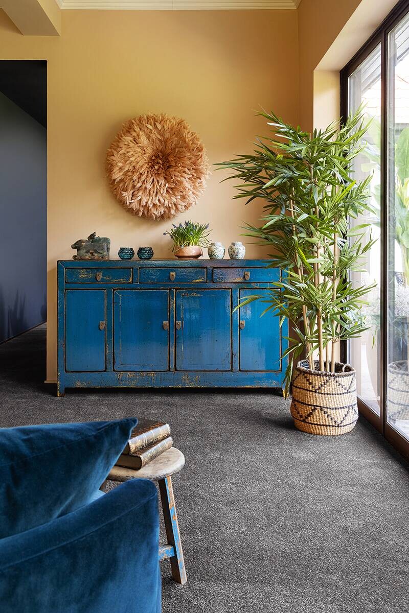 Teppichboden Euphoria anthrazit B: ca. 500 cm pro m²