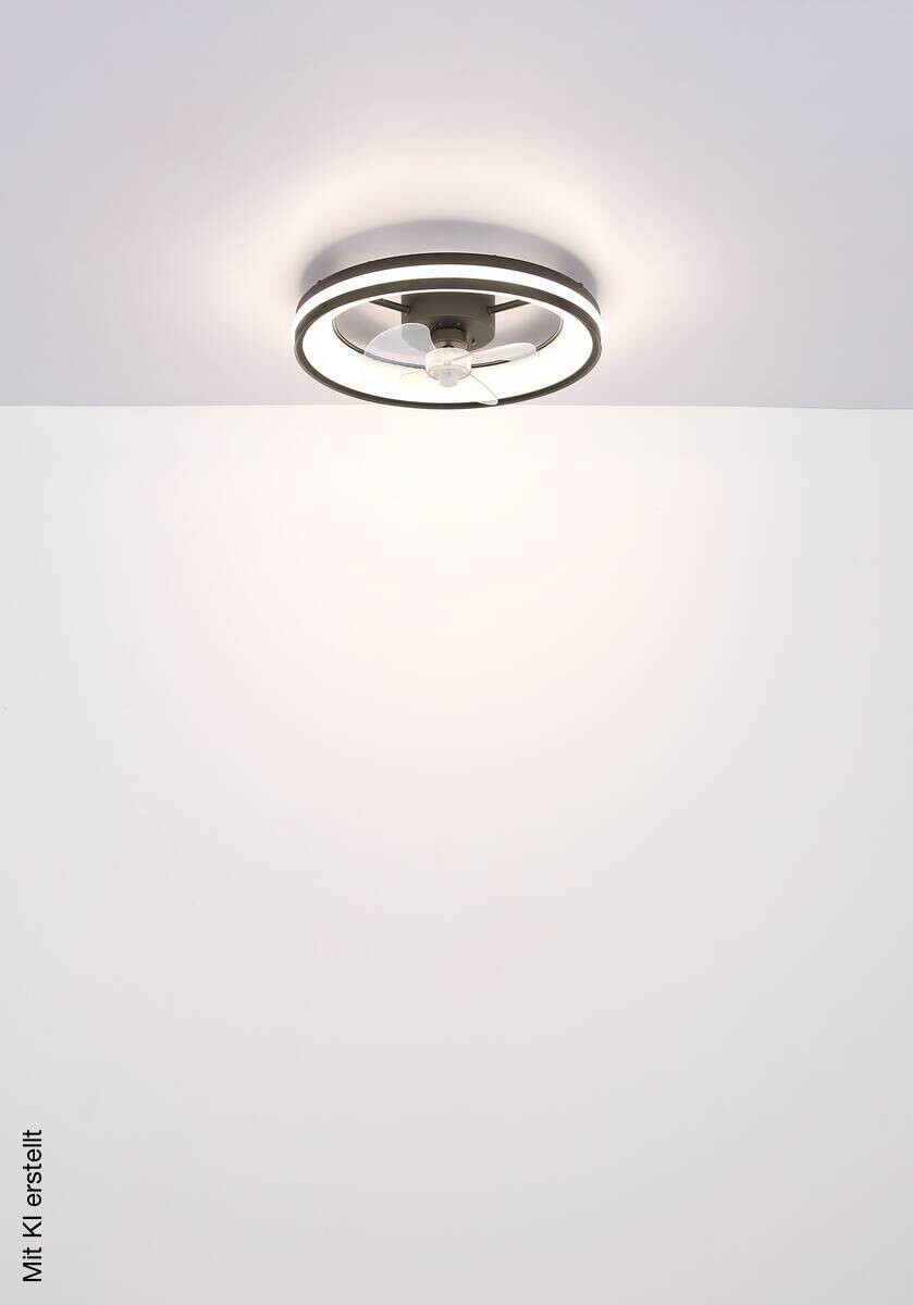 GLOBO LED-Deckenventilator Opal transparent schwarz H/D: ca. 15x49,5 cm max. 30 W