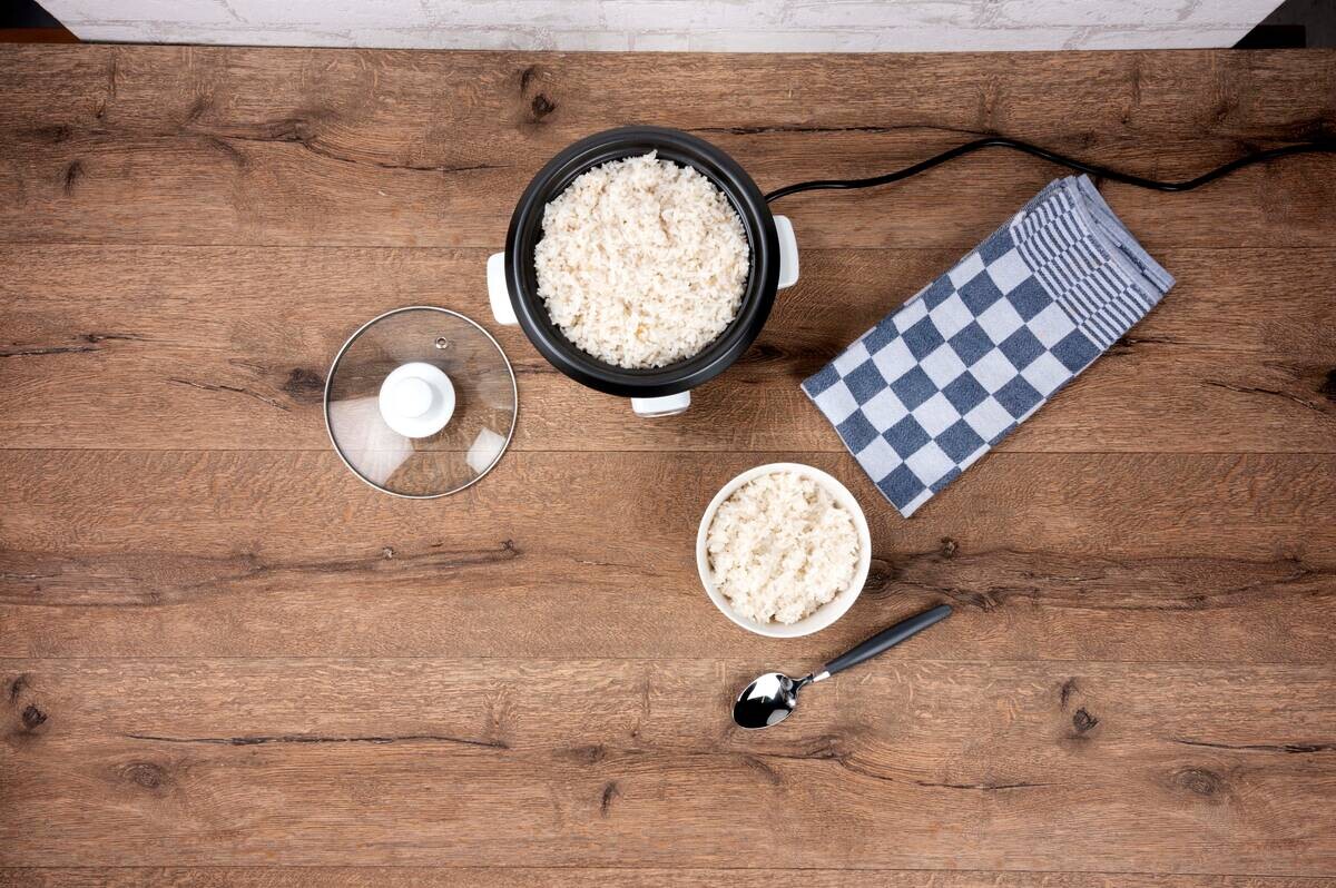 alpina Reiskocher weiß