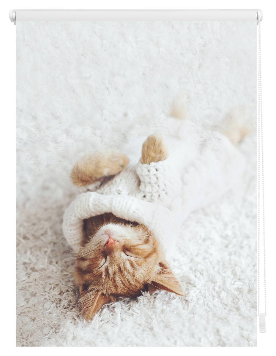 LICHTBLICK Verdunkelungsrollo Sleepy Cat