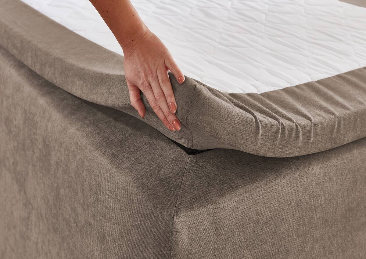 Boxspringbett Jeff taupe Liegefläche B/L: ca. 100x200 cm