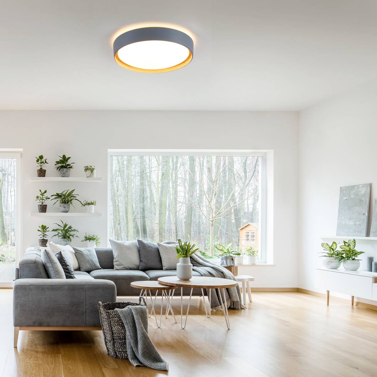 Just Light LED-Deckenleuchte EMILIA 14347-15 grau Kunststoff Metall B/H/D: ca. 40x10x40 cm 1 Brennstellen